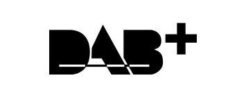 DAB Interface Origineel DAB Interface Origineel