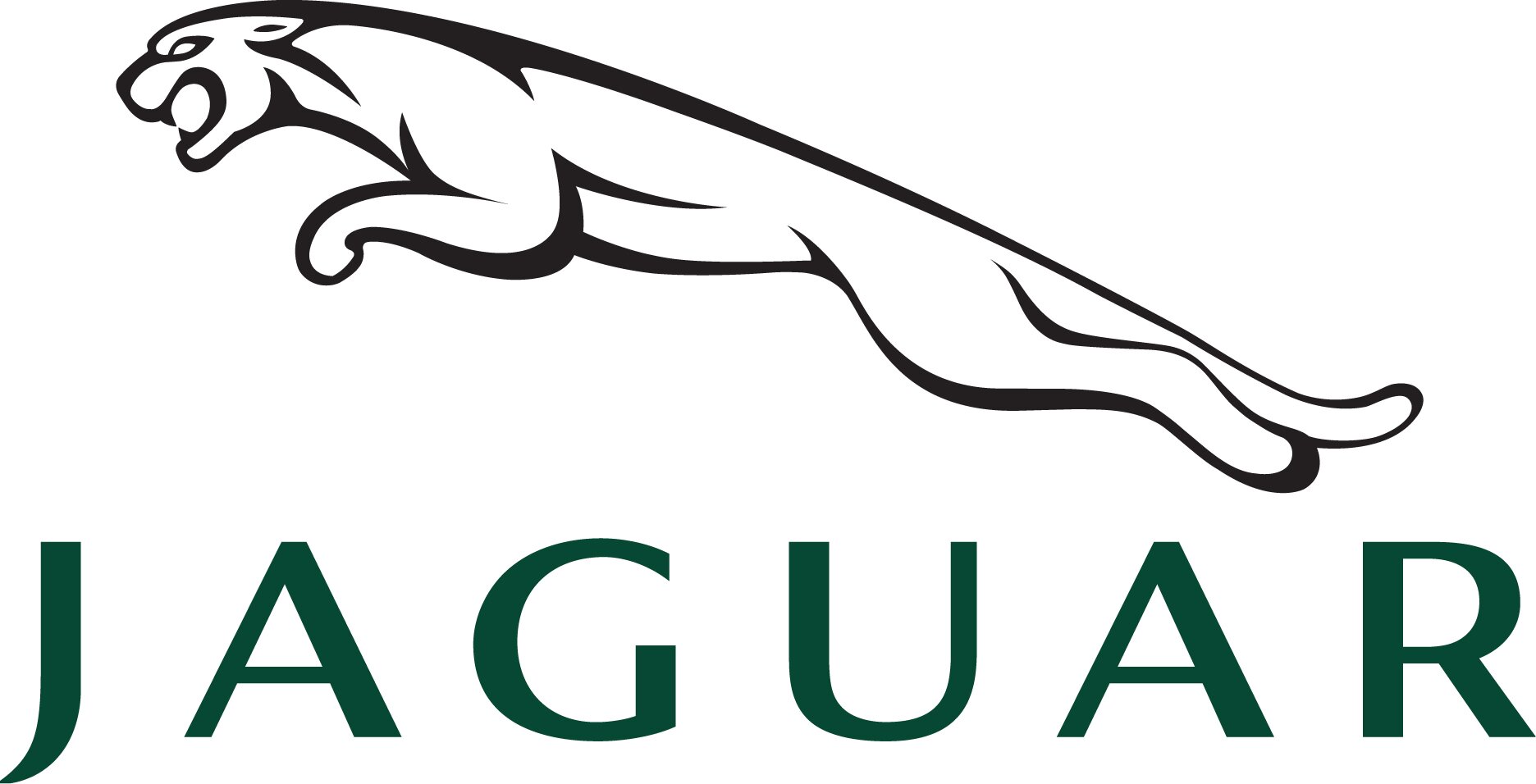 Jaguar Jaguar