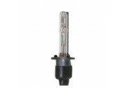 Pilot Vervangingslamp H1