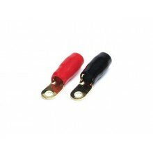 Caliber PT25.6 - Kabel Oog voor 25mm kabel